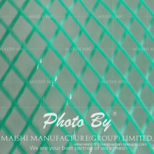 Green Plastic Grass Protection Netting